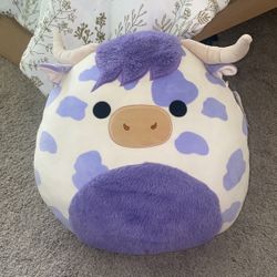 Conway purple squishmallow