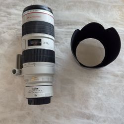 Canon 70-200mm f2.8L IS USM + Canon 1.4x II Ectender