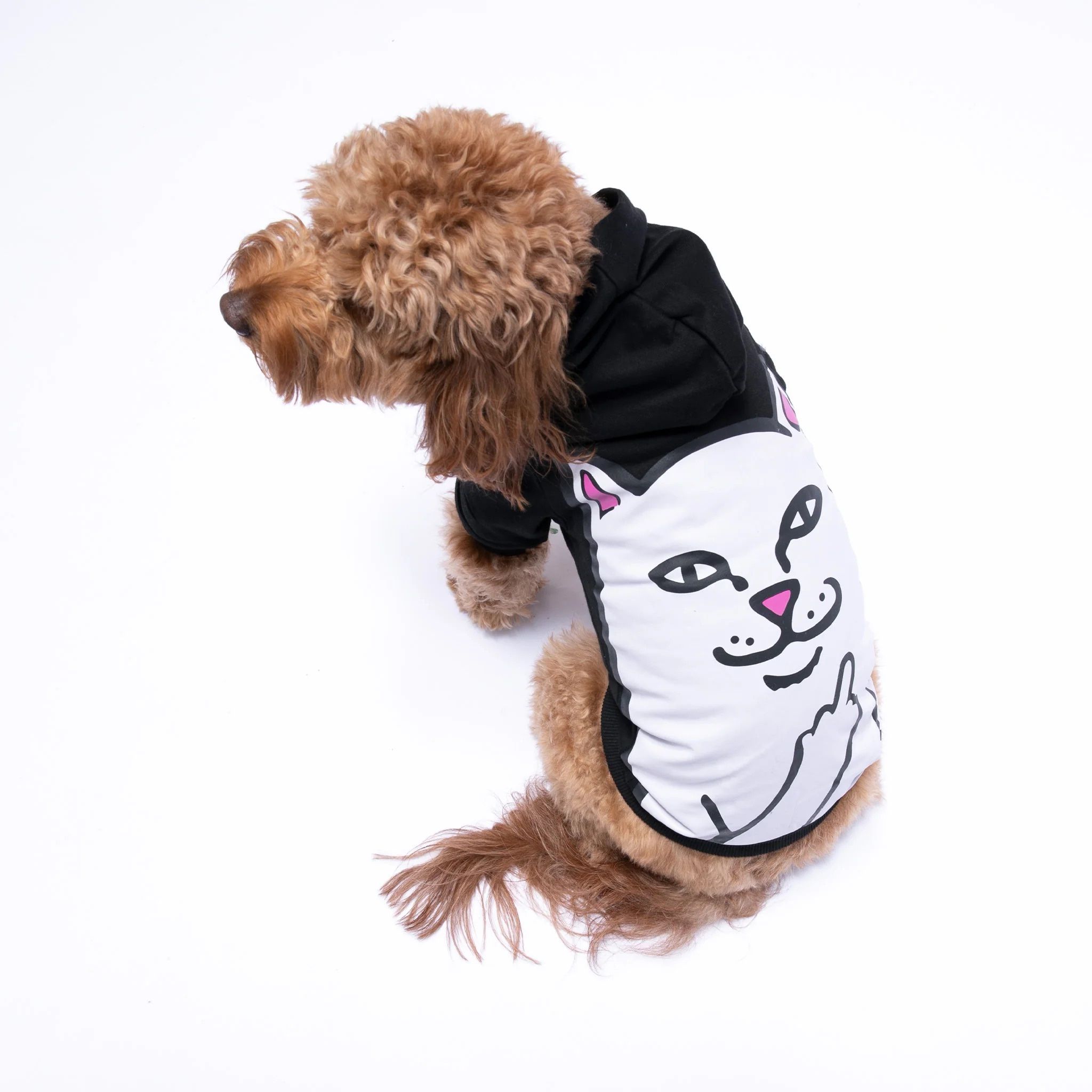 πΎ RIPNDIP Lord Nermal Pet Hoodie β Black Graphic Hoodie for Small Pets