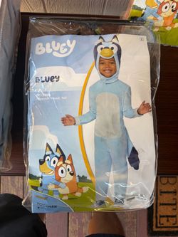Bluey childs costume