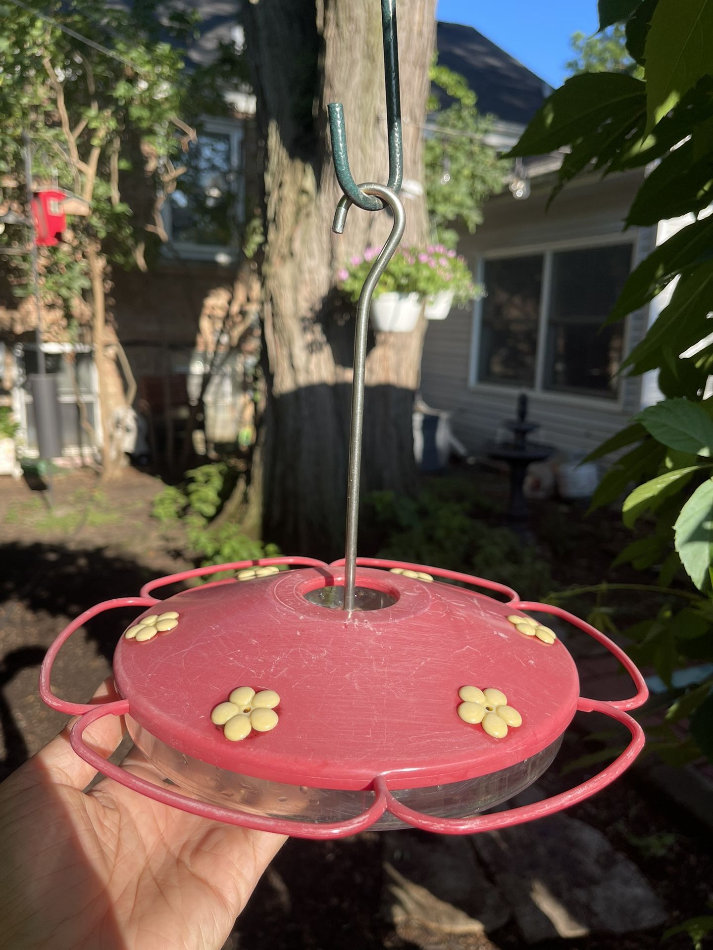Hummingbird Feeder