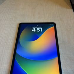 Apple iPad Pro 11-inch (Perfect Condition)