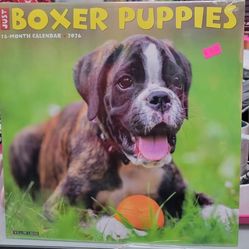 2026 Boxer Puppies Wall Calendar