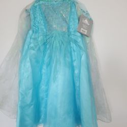 Disney Frozen Costume