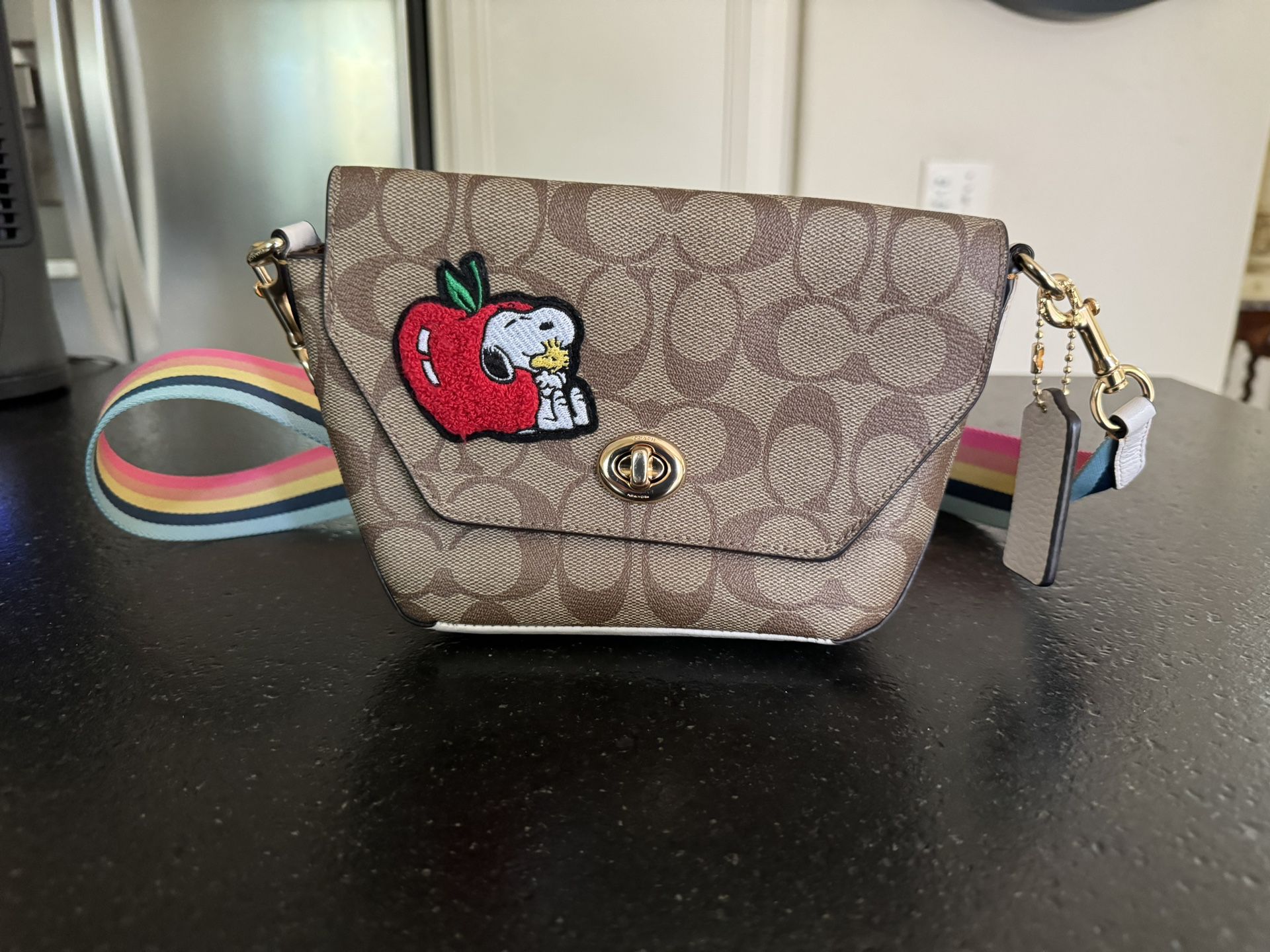 COACH Peanuts Collaboration Snoopy Shoulder Bag rainbow Ⅽ4114 Leather beige FS