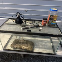40 Gallon Tank 