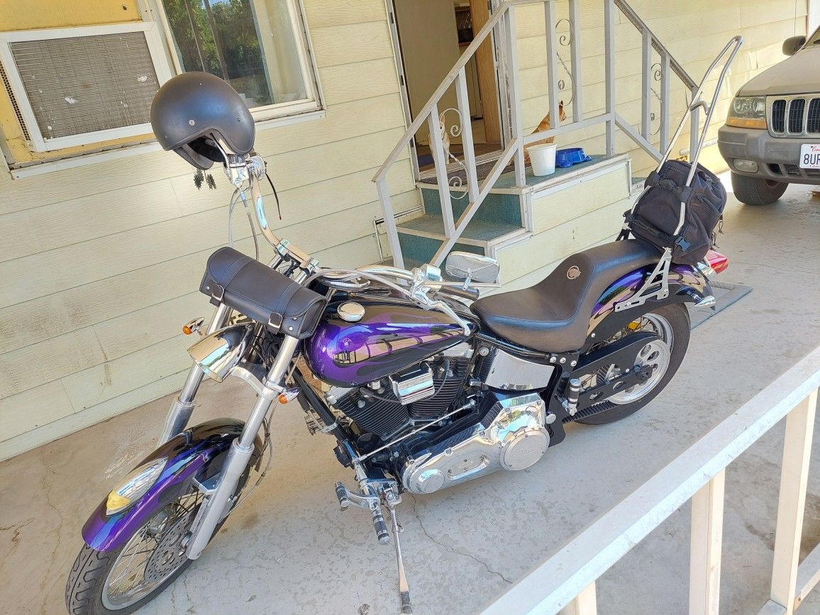 2001 Indian Gilroy Scout