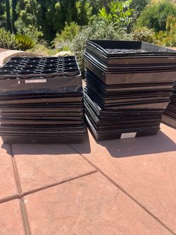 FREE - Tarzana- Flats for plants