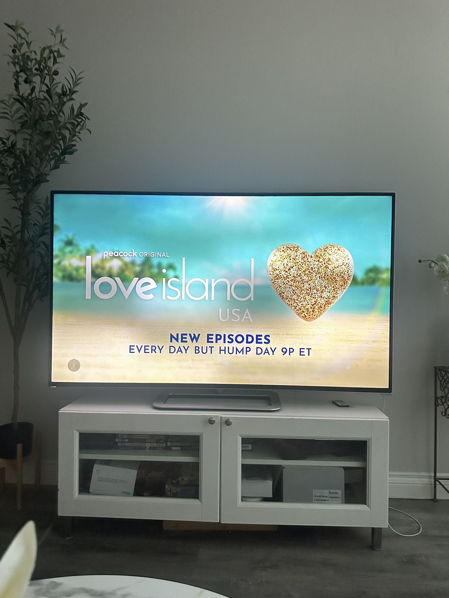 60 inch TV