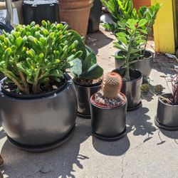 8/20/22 - Buy This Pottery