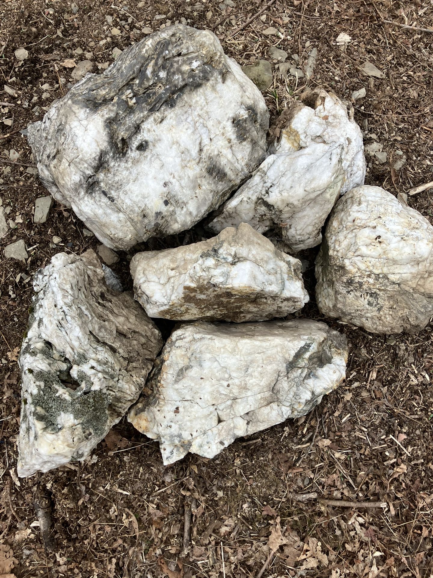 1,557 Pounds Of Milky Quarts Boulders