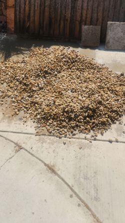 Free California Gold Rock