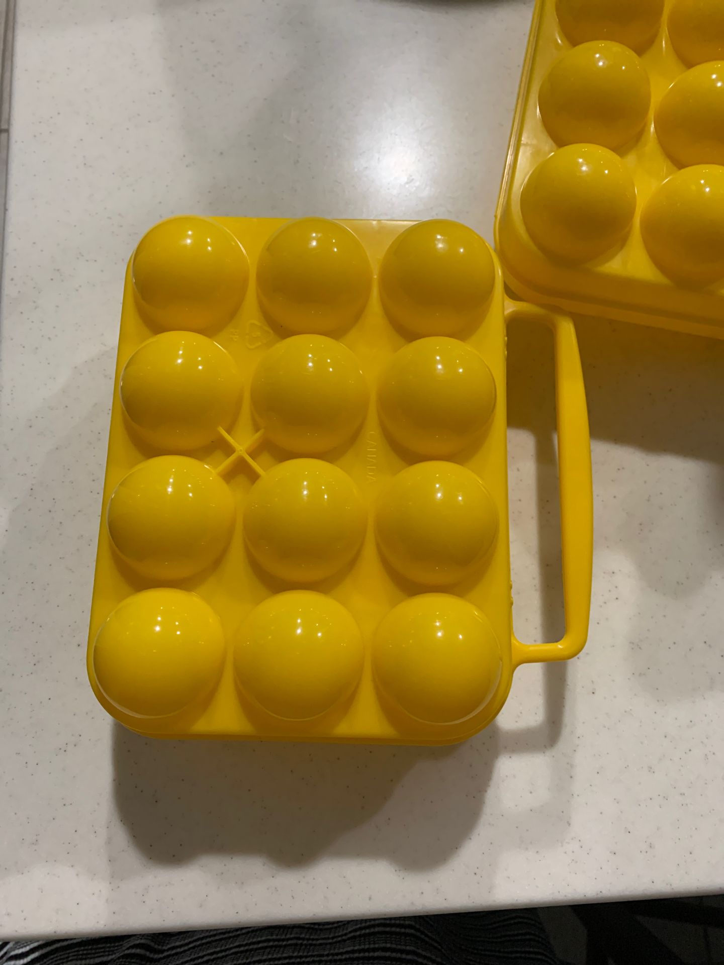 Egg Carrier for camping