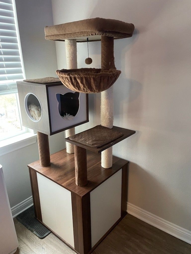 Cat Tree $50