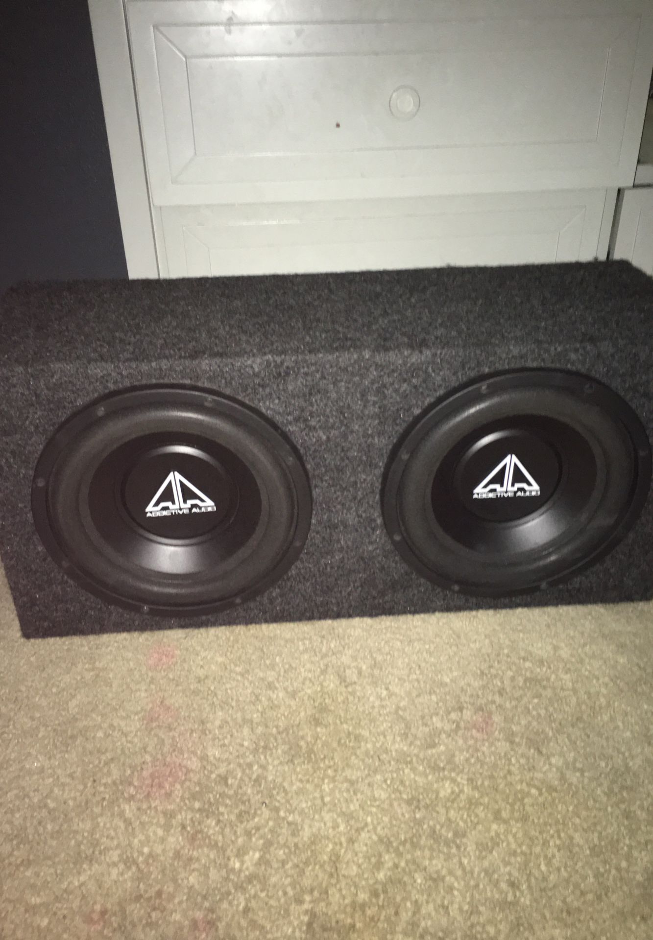 2 10s comes with amp