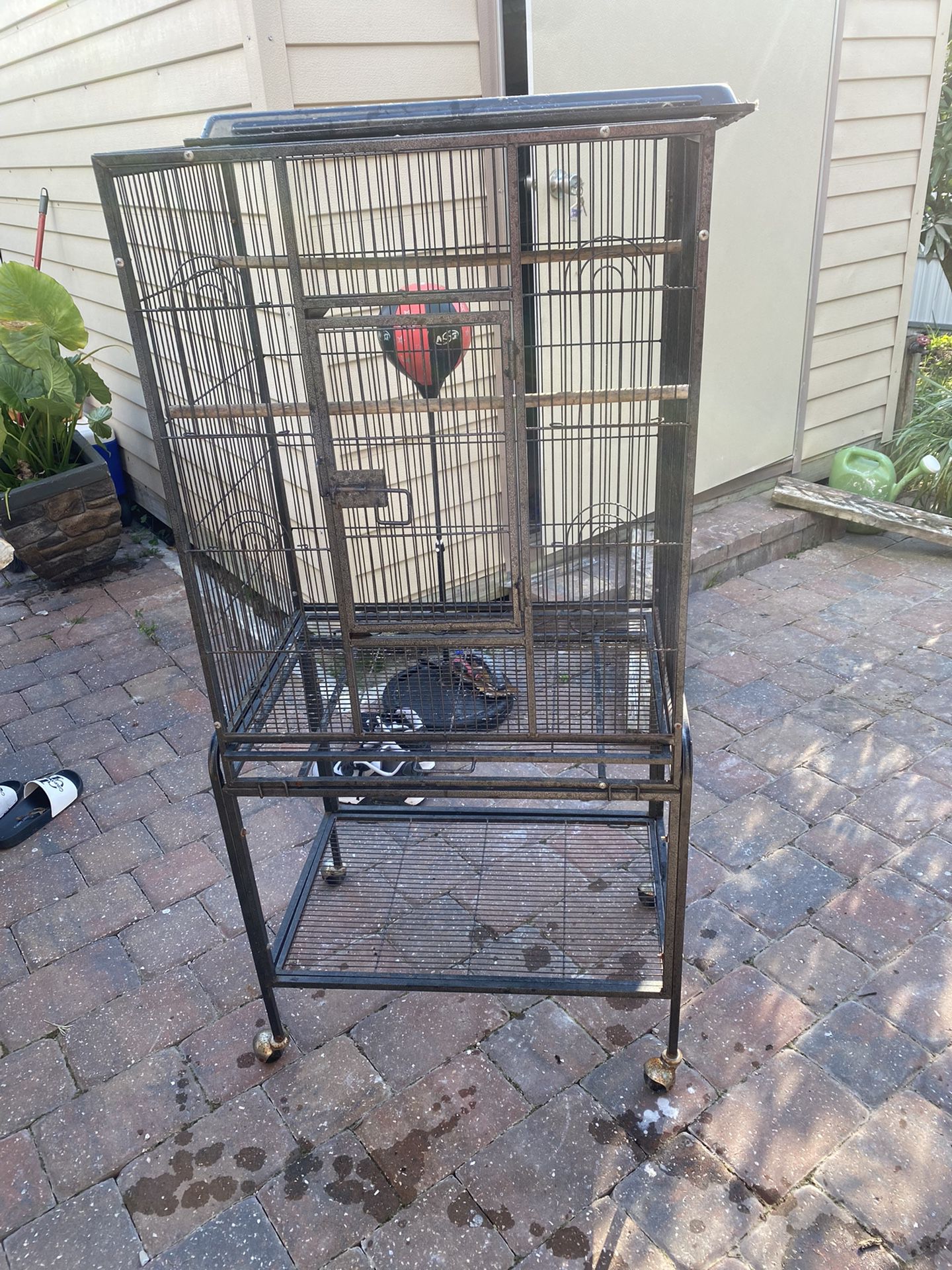 Cage For A Bird 