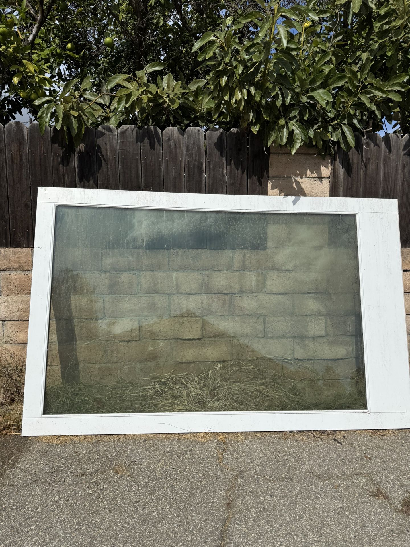 Massive Commercial Window For Sale Best Offer