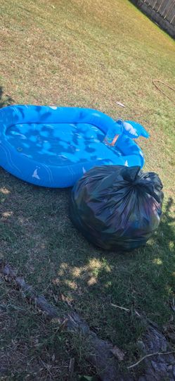 Toddler Pool with shower and Bag of balls