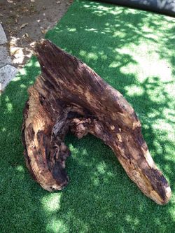 Driftwood For Aquariums Terrariums Decor