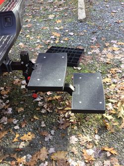 Dog steps