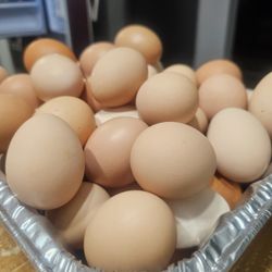 Organic EGGS  12 X $6 or 18 X $10