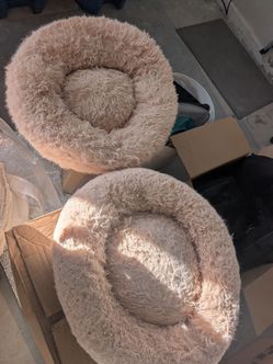 Cat or small dog items - beds, litter boxes
