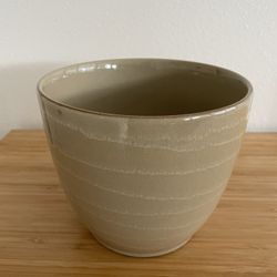 Stylish And Glossy 6” Tall PLANTER [PH]