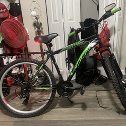 Schwinn Bike (Lighted Seat)