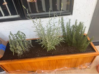 Planter with dirt