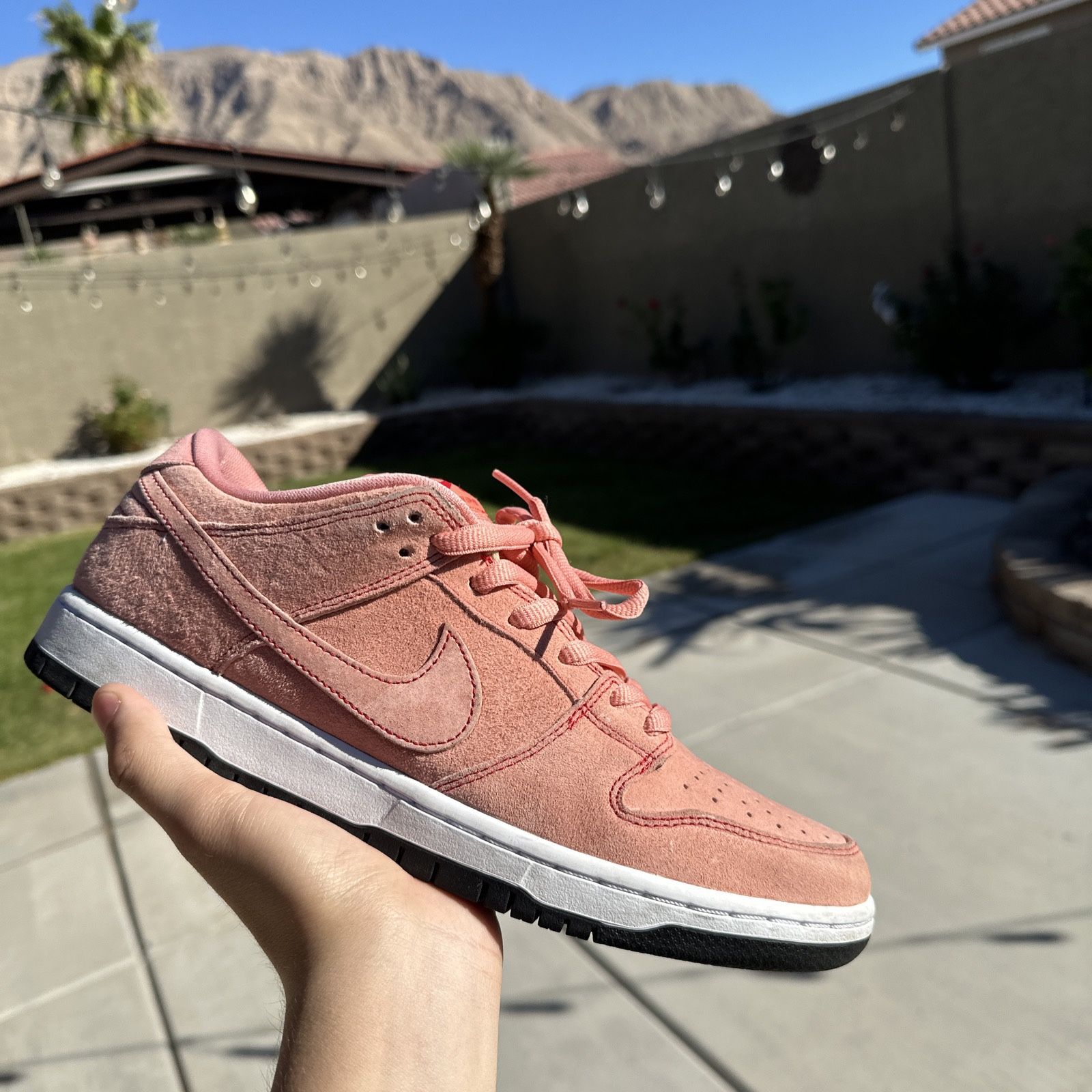 Dunk Low SB Pink Pig