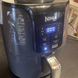 Ninja Air Fryer