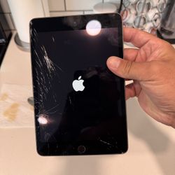 iPad Mini 5th Generation (needs Screen Replacement)