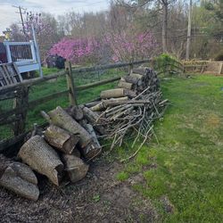 Free  firewood