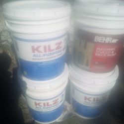 KILLS PRIMER PAINT 