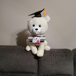 Graduation Bear