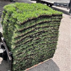 Floratam St. Augustine Sod $199 a Pallet 