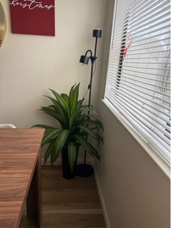 Fake plant