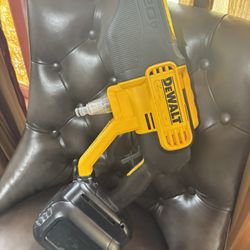 DeWALT  Water Pressure Gun