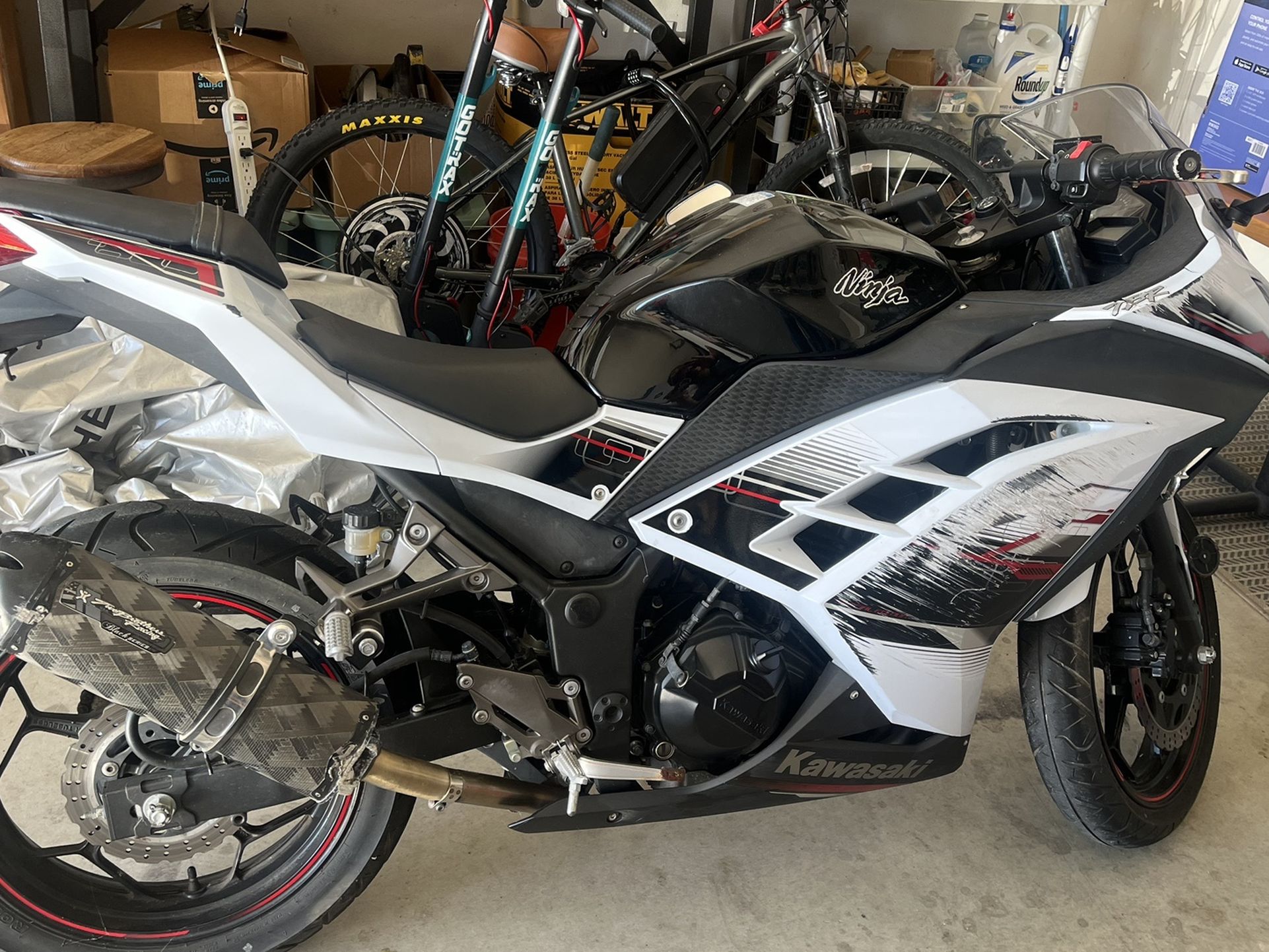 Kawasaki Ninja 300 - Perfect Beginner Bike 