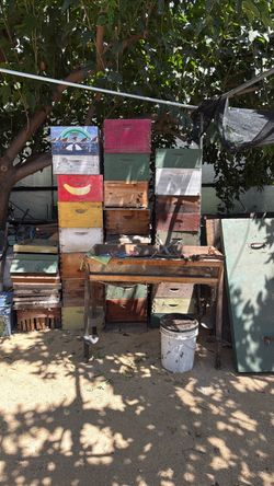 Beekeeping equipment - hive boxes, top bar hive, honey extractor
