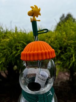 Starbucks Peanuts Woodstock Glass Cup with Straw