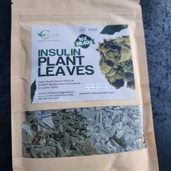 Insulina Plant Leaves