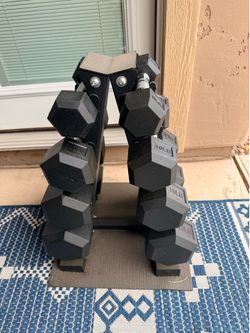 Dumbell Set and Stand