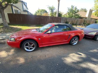 Body Work & Paint