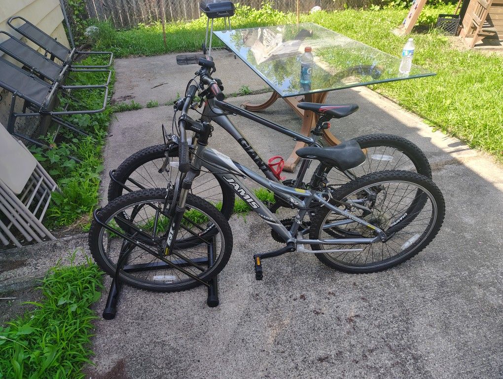 2 Bike's And Stand 