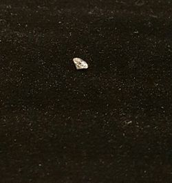 3mm Natural Diamond Loose