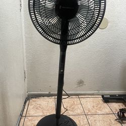 Fan ,