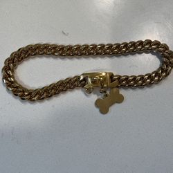 Gold Chain Dog Collar 