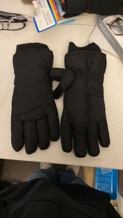 Winter Gloves Worth $15