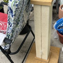 Cat 🐱 Sisal OG price $45+